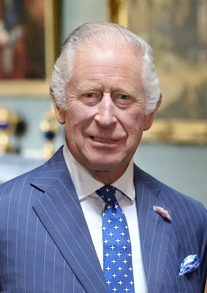 Portrait of King Charles III, smiling, in a dark pinstriped suit with a blue patterned tie and a pocket square