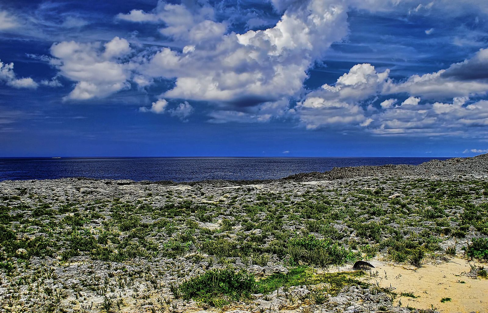 Rocky shoreline with low green plants and the dark blue Atlantic Ocean under white clouds in North Eleuthera