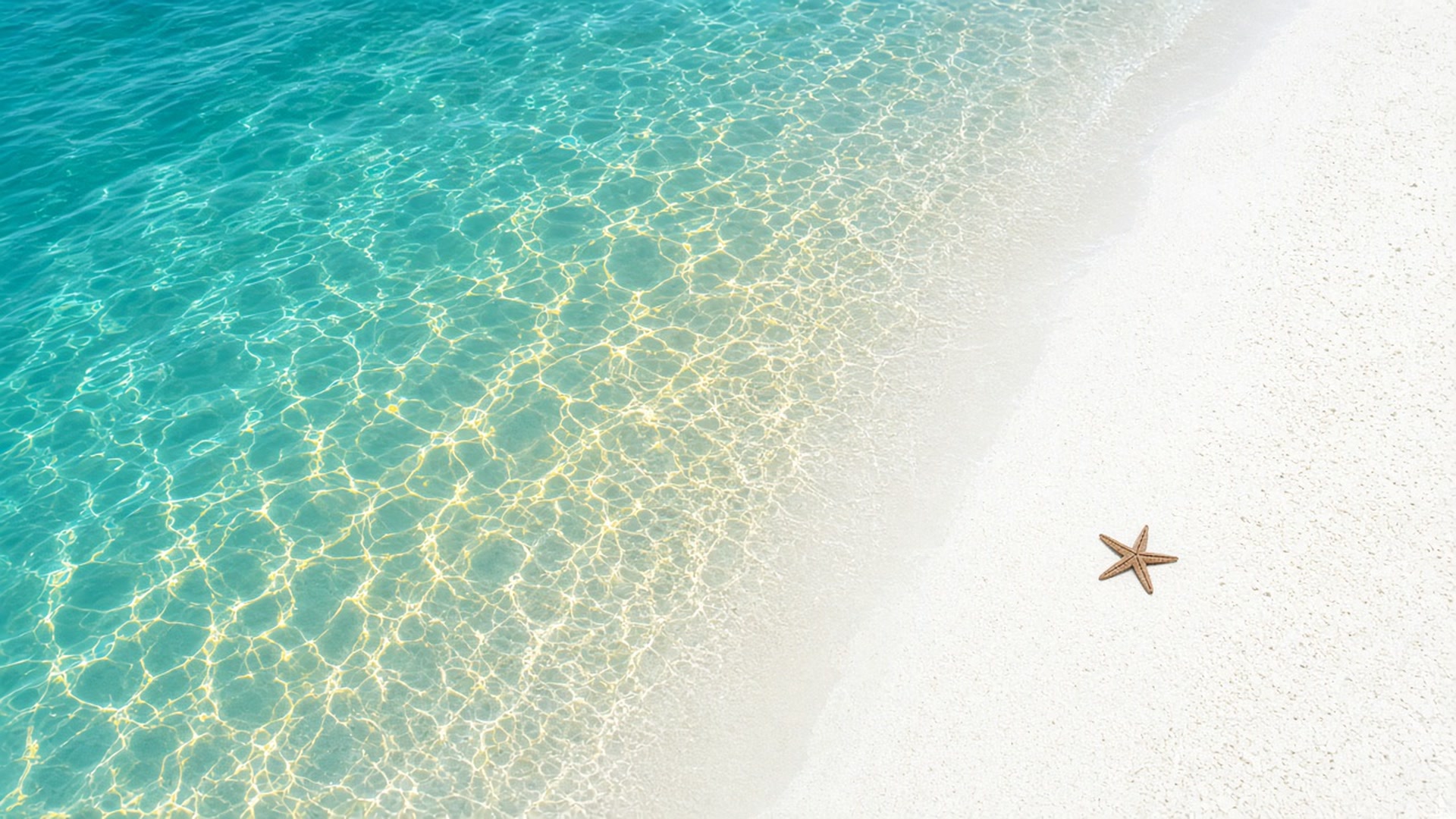 Turquoise and gold ocean light