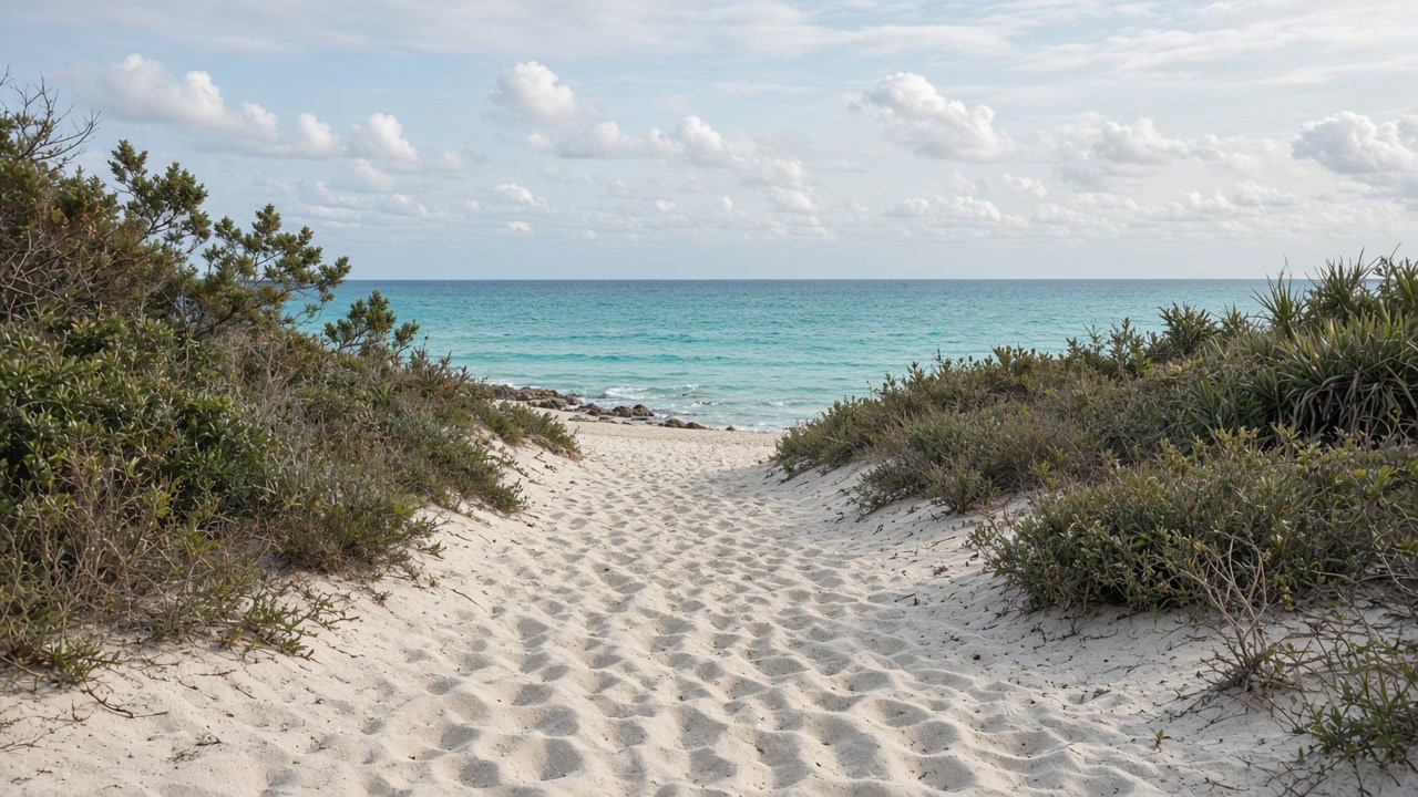 Sandy public beach access path in Yamacraw, Nassau, under soft daylight with the shoreline visible beyond, open and unbranded, no wall close-up branding, no people