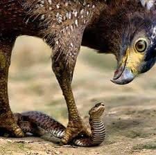 No stumbling block will stop you today 

God's grace with on you!