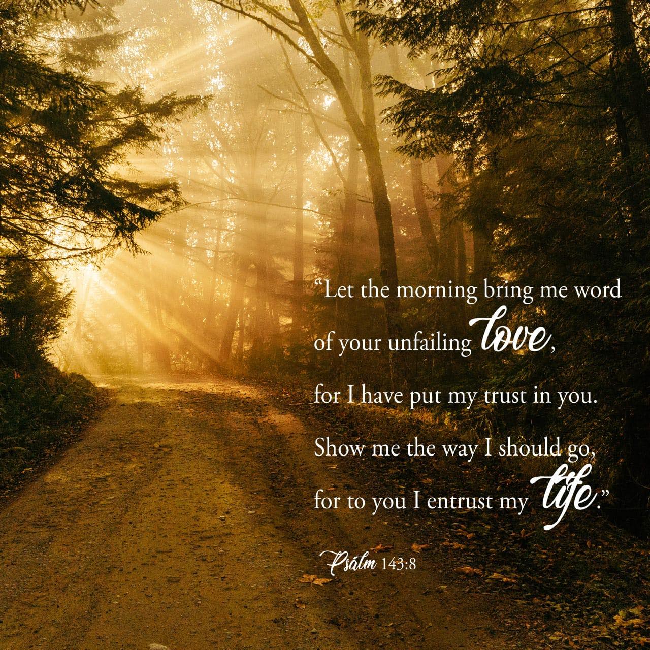 Good Morning!

Verse of the day
