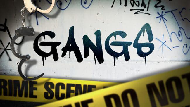 Gang member sister plea to gang culture  followers 

Good morning Bahama Drama please keep me anonymous. 

I lost my brother to gang violence last year.

I miss him so much every d