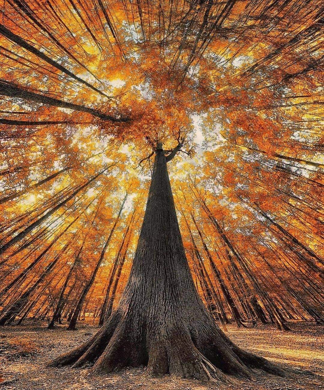 God has something for you that only you can get.
