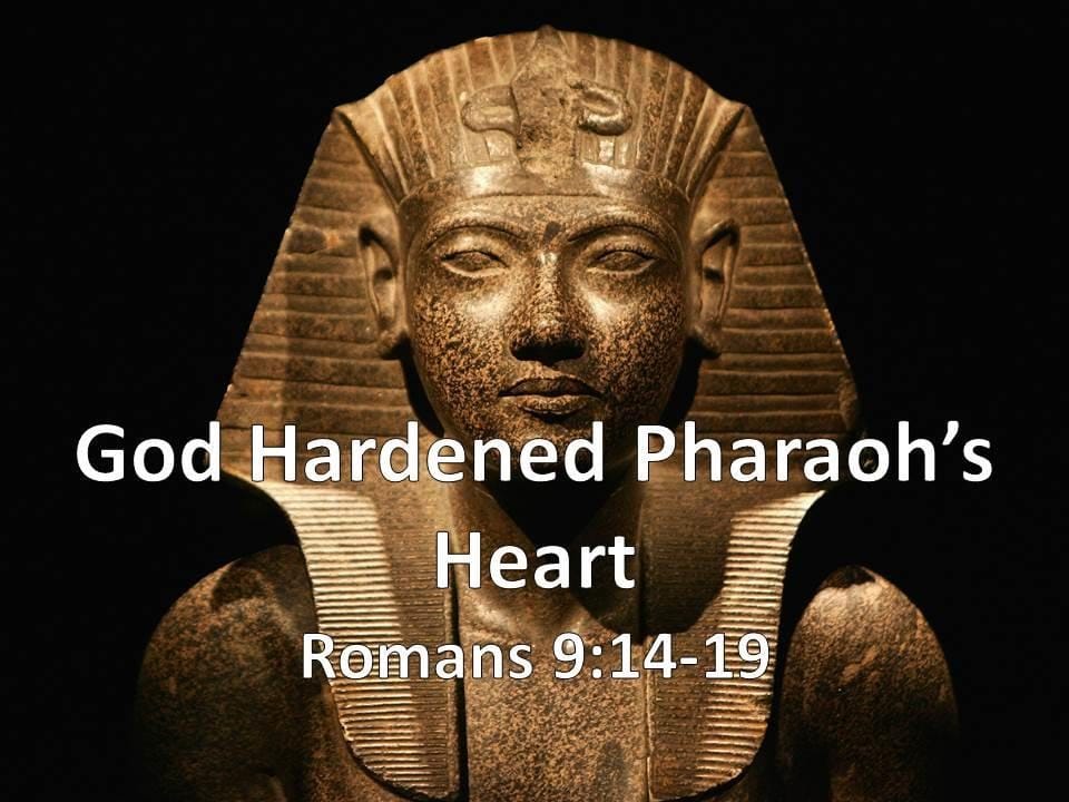 Why do you think God hardened Pharaohs heart?
As the King James Bible puts it, “Pharaoh's heart was hardened, neither did he hearken unto them; as the Lord had said. ... Followin