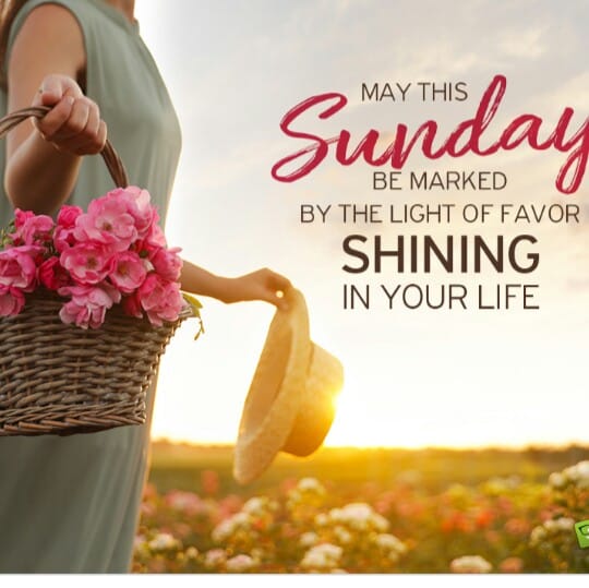 Happy Sunday 242.
