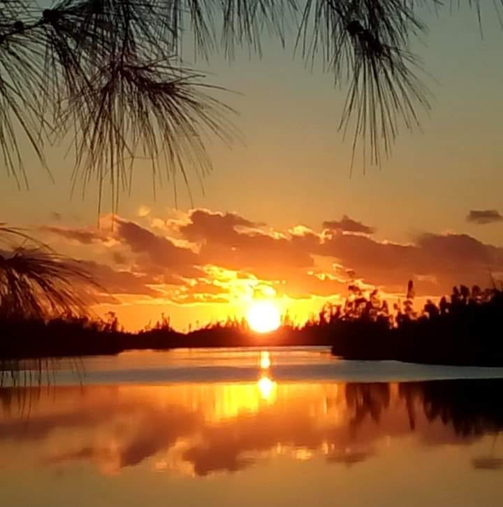If you woke up this morning give thanks!
