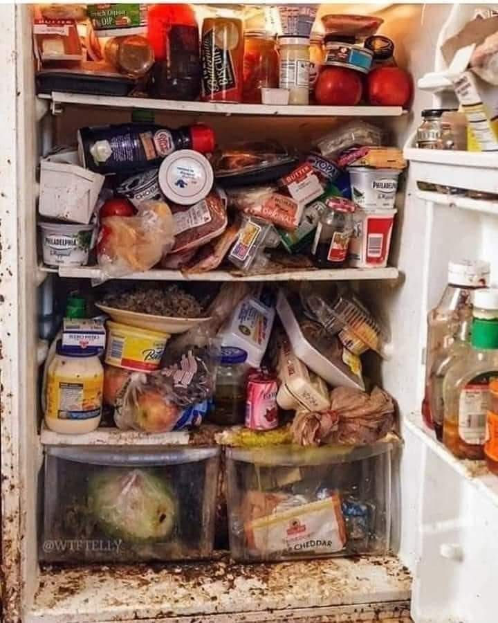 Should cleanliness be a factor in a relationship? 

Your dating someone with a good heart but inside their refrigerator looks like this year round. Does it matter to you, and why?