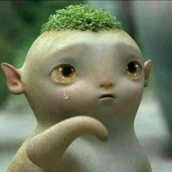 Is it possible to be happy as a couple without money?