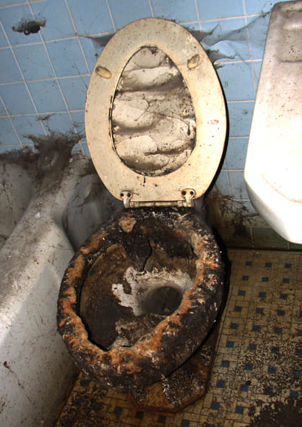 Do you know in Cuba 95% of most house's and apartment's don't have toilets that you can flush and no toilet seat? 

But they have Cuban scientist doctors and engineers are driving 