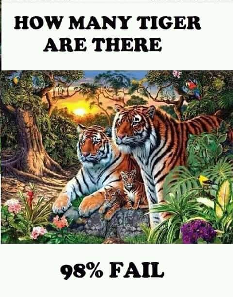 Let me see who's a brain box in here.