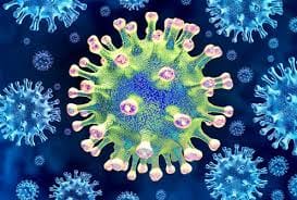 Breaking News

Covid-19 Virus Variants Mu and Lambda Unlikely to Supplant Delta
Delta’s highly infectious nature positions it to outcompete new variants, scientists say.