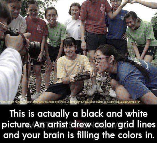 You don't see the colour of the thing, you see what parts of the light spectrum are reflected by the thing.