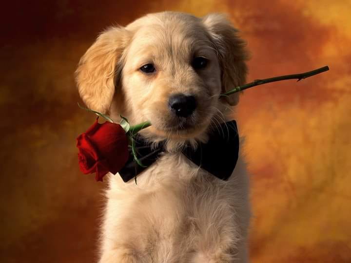 I've got a crush 🥰

Good morning @[100023394293756:2048:Bahama Drama] please keep me anonymous. I in love with guy in Andros named Nathan Russell, he is a gentleman and he's so han