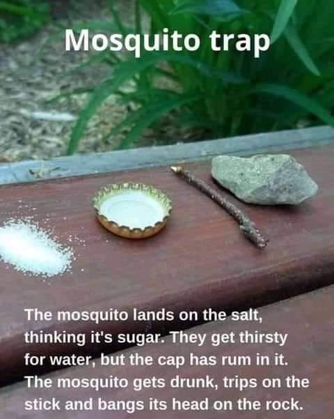 Share. Let's get rid of Mosquitoes in our country.