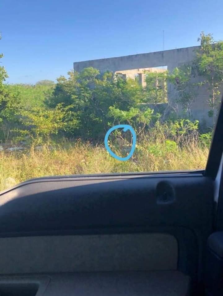Mobile uploads