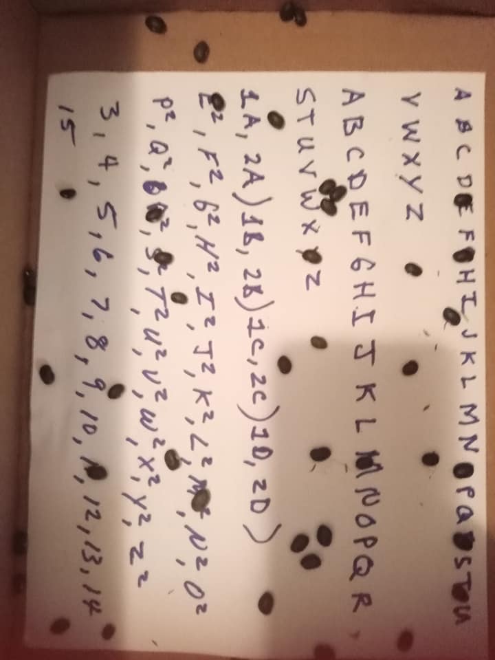 Mobile uploads