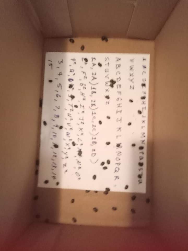 Mobile uploads