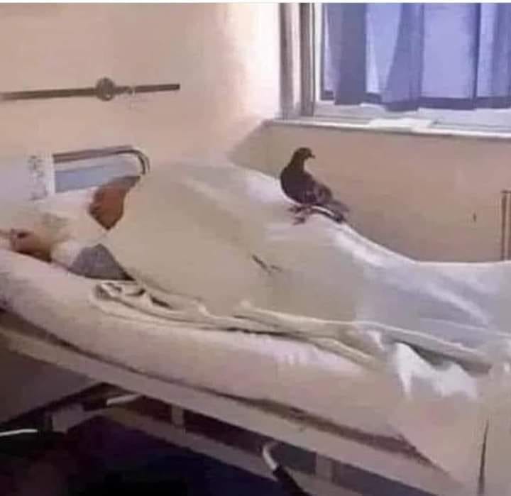 The nurse that took this picture, wrote down the follow:

  It has been 23 days since this patient arrived to the hospital and in those 23 days, nobody of his family has come to se