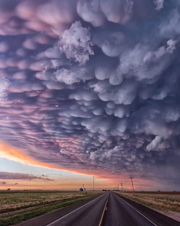 *_It's Bible Reading Time (on ZOOM)_*
*Meeting ID:* 461 967 3295
*Passcode:* bible
_Starts every evening at 8:00pm (Eastern Standard Time)_
*Please SHARE*.
We are having our *B
