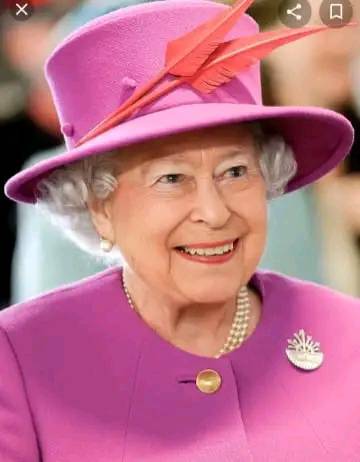 She's definitely not my Queen sorry👑
A queen Bee is related to all of the Bee's in her colony by DNA higher than 90 percent.
How can she be your queen if she doesn't have any DNA