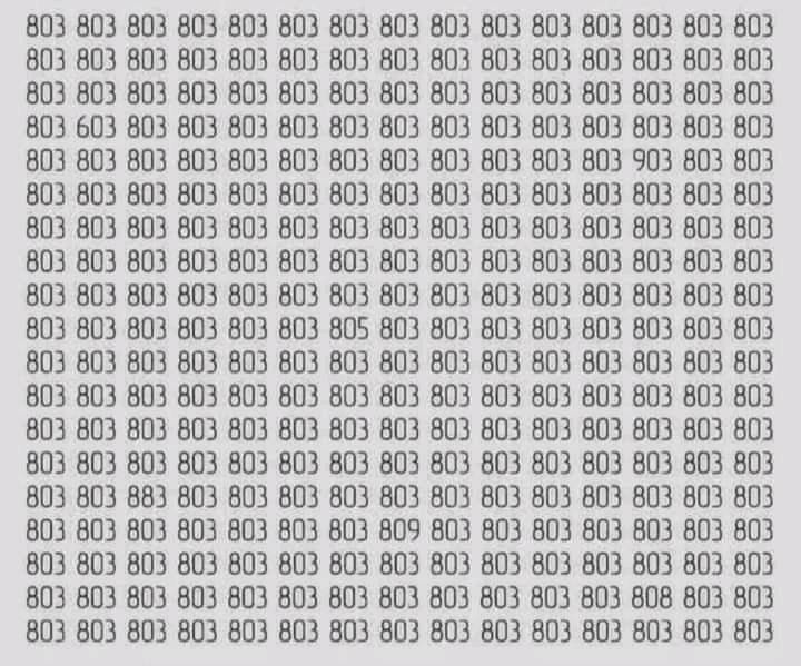 What other number is there besides 803