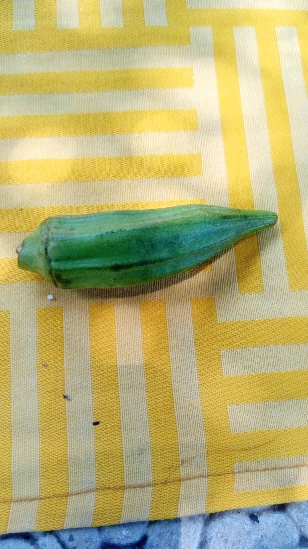 What is the name of this?