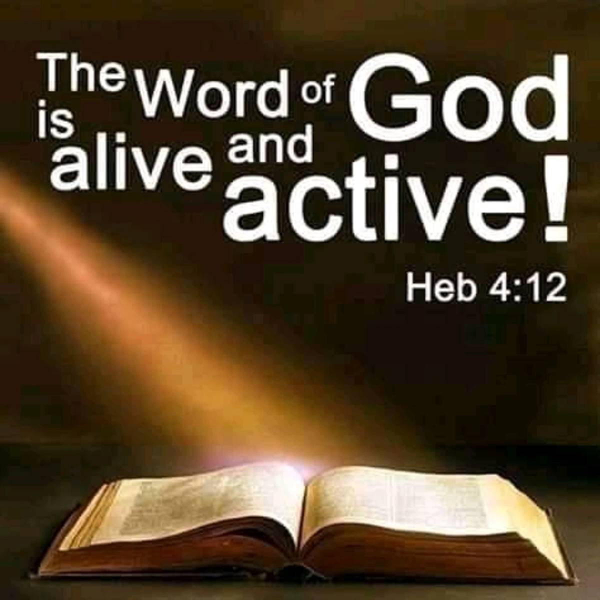 What God is inside of you? 

Good night Bahama Drama please post this word of God for me even though I know that it won't get much views for your page or any likes.

But that's wha