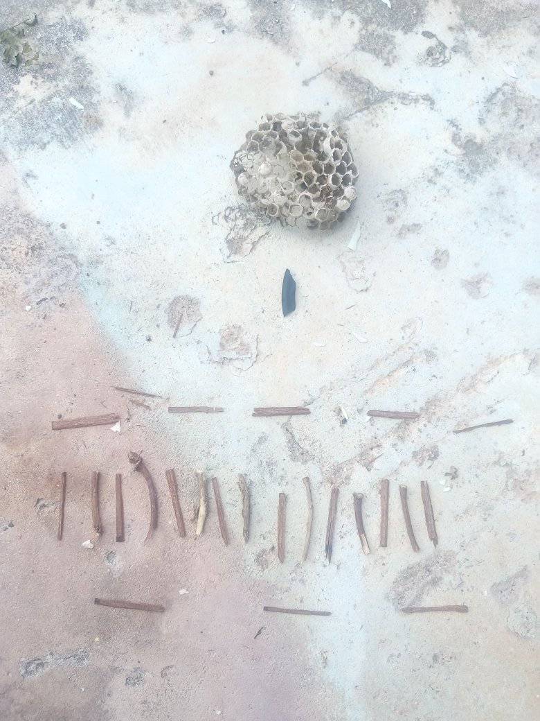 Extraterrestrials are trying to tell me something

Good afternoon Bahama Drama please keep me anonymous. This morning I woke up got my jugs and bucket to go to the water pump down 