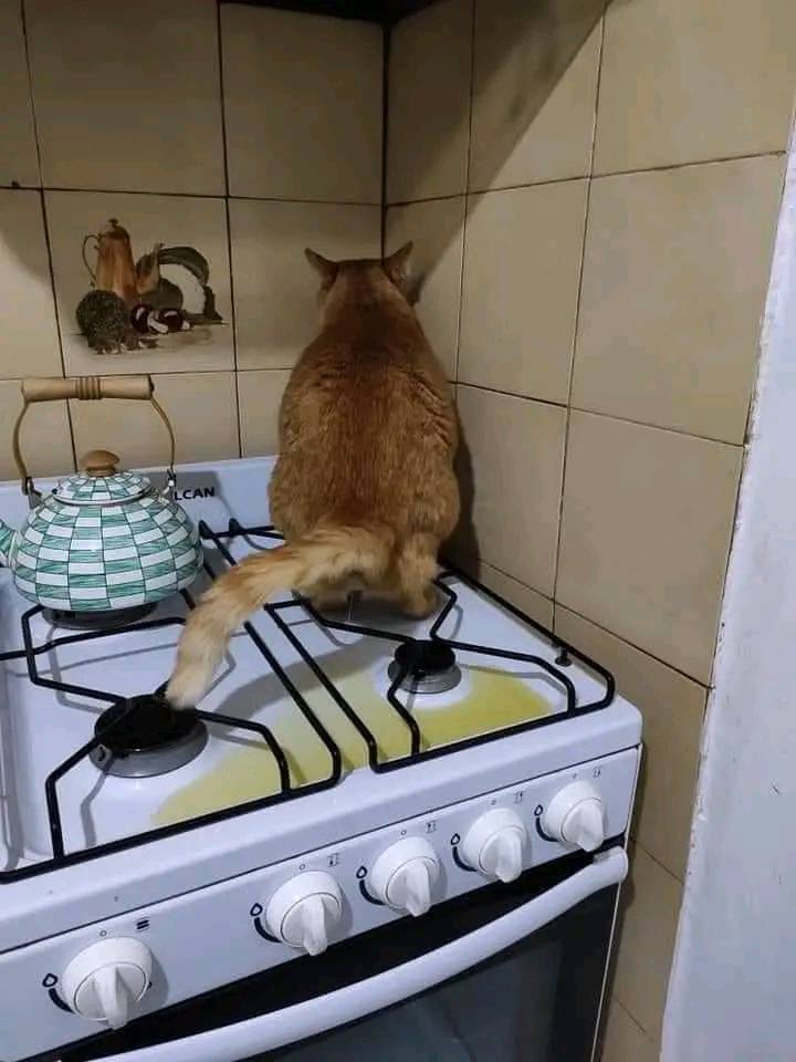 How do I get this to stop????