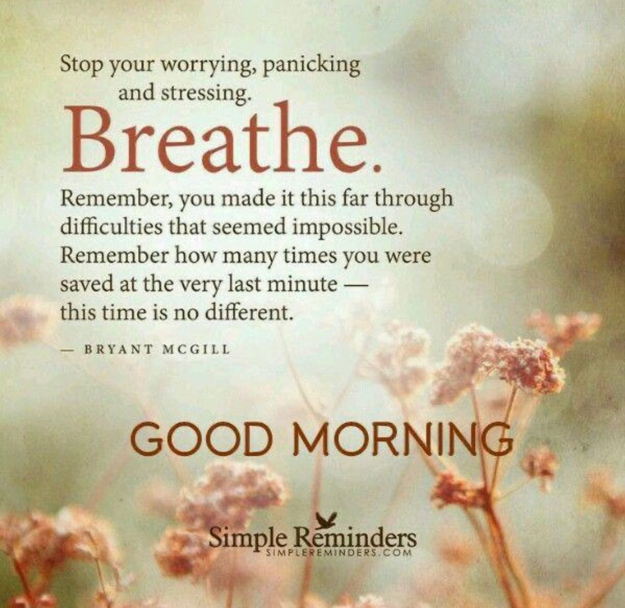 I don't know who need to hear this but breathe