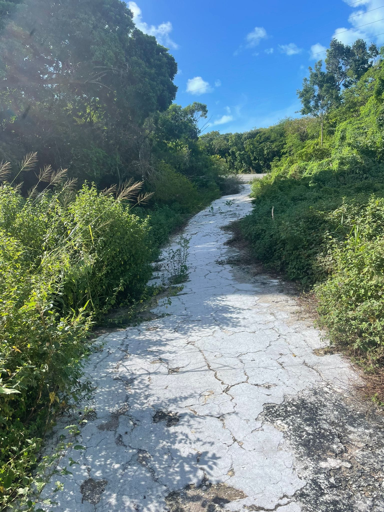 Anonymous Post from Exuma:

How many of us still allow ourselves to get soaking wet in the rain, like our healthier ancestors did, simply because they had no other choice? They emb