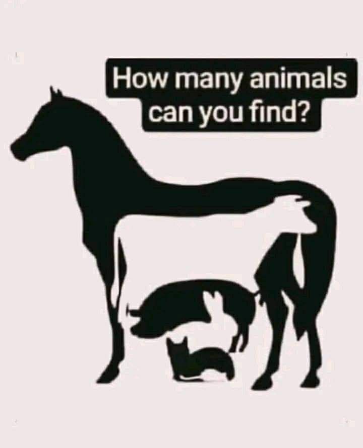 If you see more than one animal you're a schizophrenic psycho lol 🤣🤣🤣