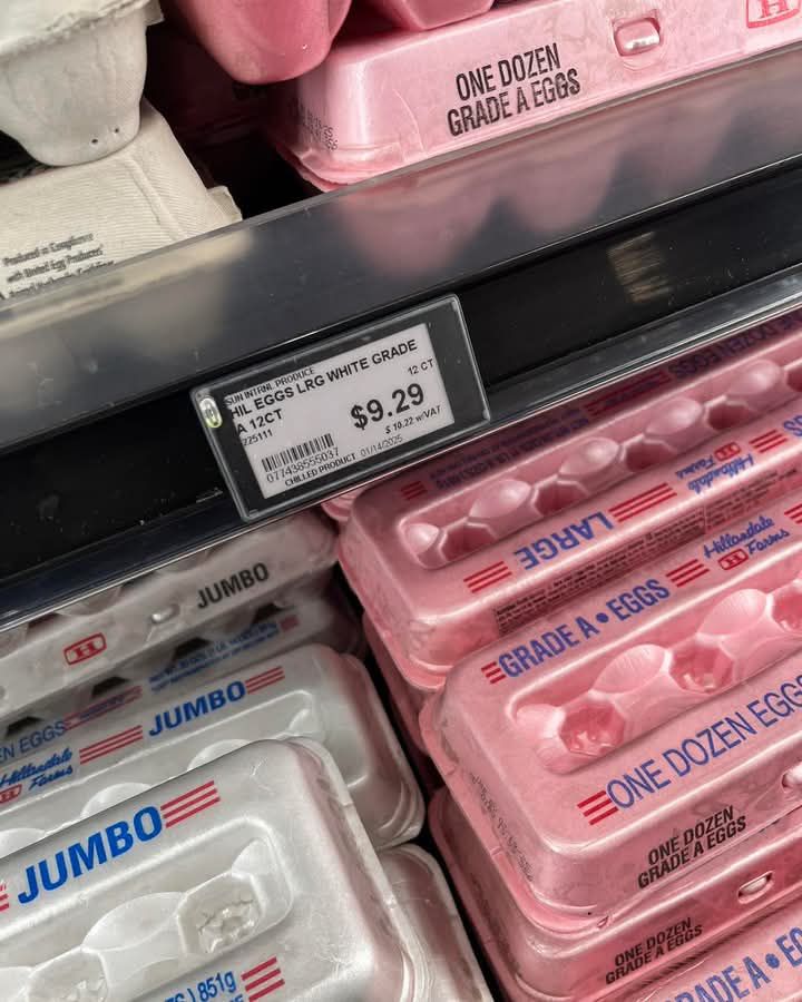 These have to be already pre-boiled pickled eggs in these 🛒 cartons🥚😭 for this price!

Come on Bahamas 

Page Reply:

Oh well it's official, eggs are off of my menu 😞