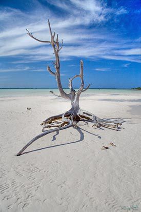 We're dropping a chilling but true Bahamian story tonight at 8:00 PM one you've never heard before. If you live alone, you might want some company because the mind can play tricks