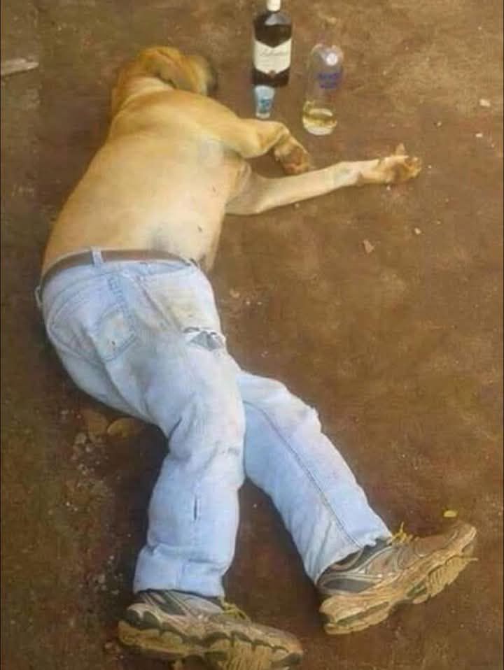 How most women see men when they're unemployed: 😂😝😂😂😂😂