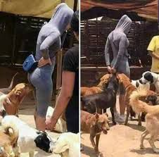 What's going on here

Might she be ovulating?