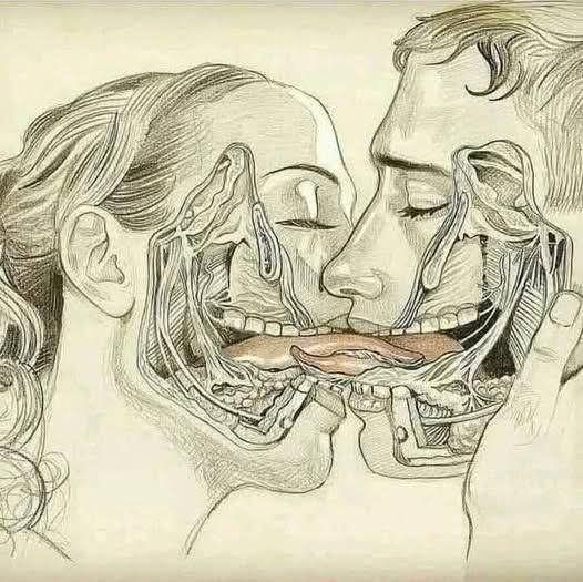 How dangerous is a kiss these days!

Diseases/Pathogens Transmissible by tongue Kissing

Viruses

1. Herpes Simplex Virus (HSV-1, HSV-2)

Nature: Virus

What it does: Causes cold s