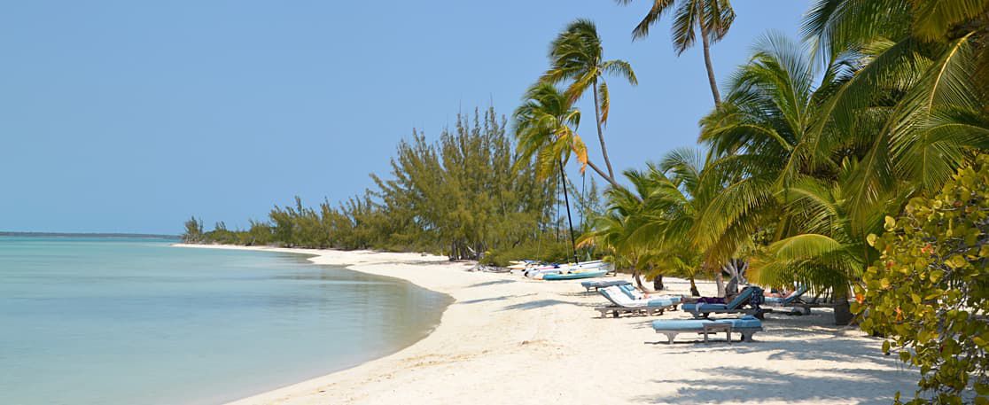 Visitor’s Post:

Good night Bahama Drama,

I just wanted to take a moment to say how much I appreciate your page, because everything you share perfectly matches my own experiences 