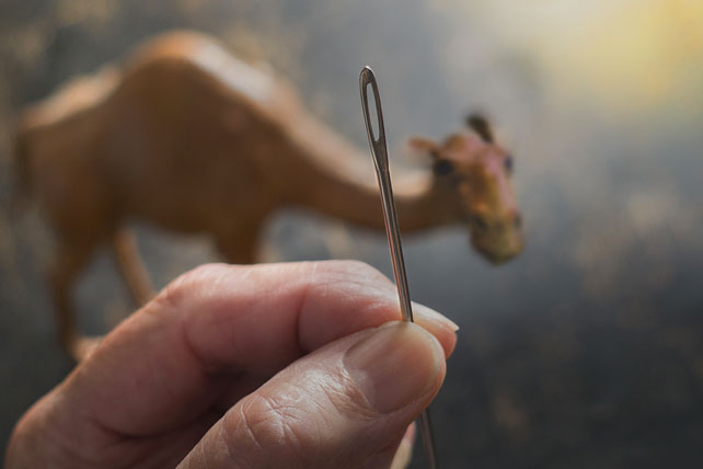 Again I tell you, it is easier for a camel to go through the eye of a needle than for someone who is rich to enter the kingdom of God.