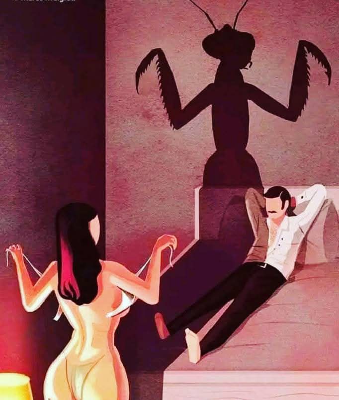 💋 BAHAMA DRAMA INBOX CONFESSION

From Cherry 🍒  “I Slept With You To Kill Your Future”
(A brutal truth most men learn too late)

“I don’t fall in love  I study.
I don’t want your h