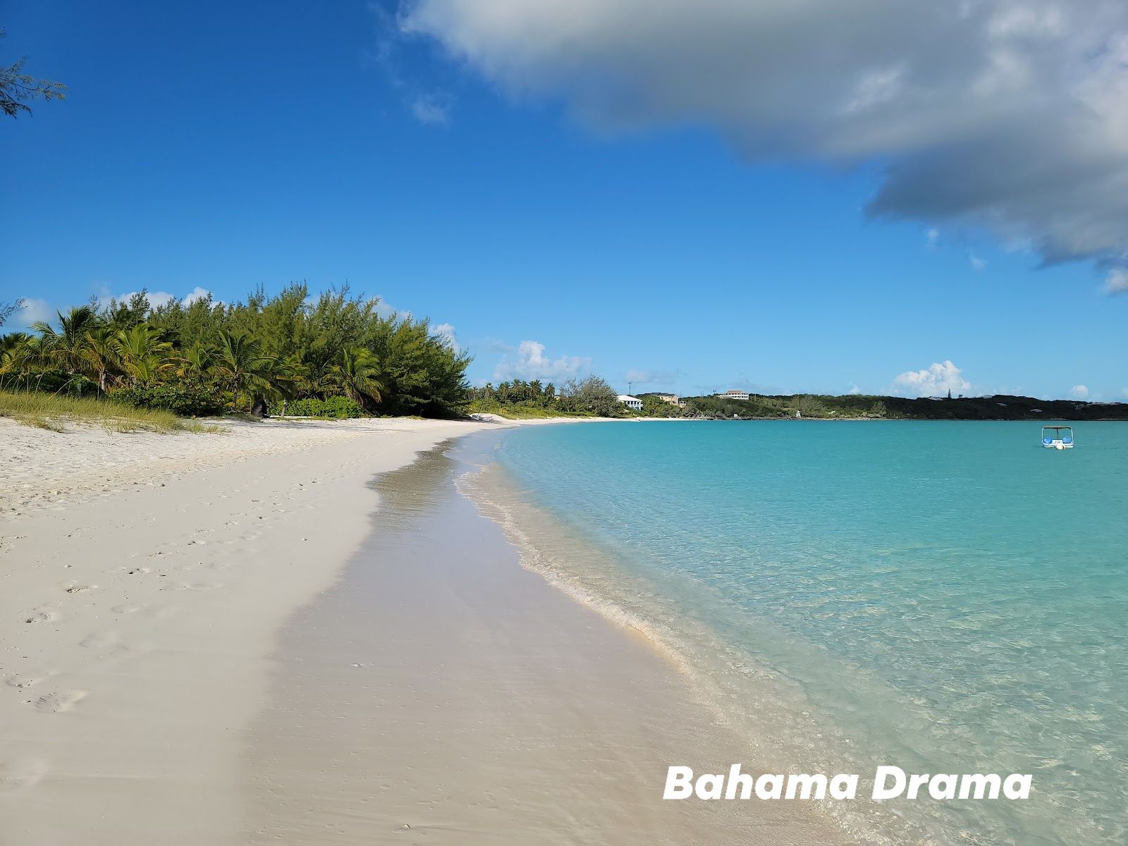 This morning @[100023394293756:2048:Bahama Drama] measured his steps. 

Farmers Hill Beach is a total of 2073 steps FYI... 😁
