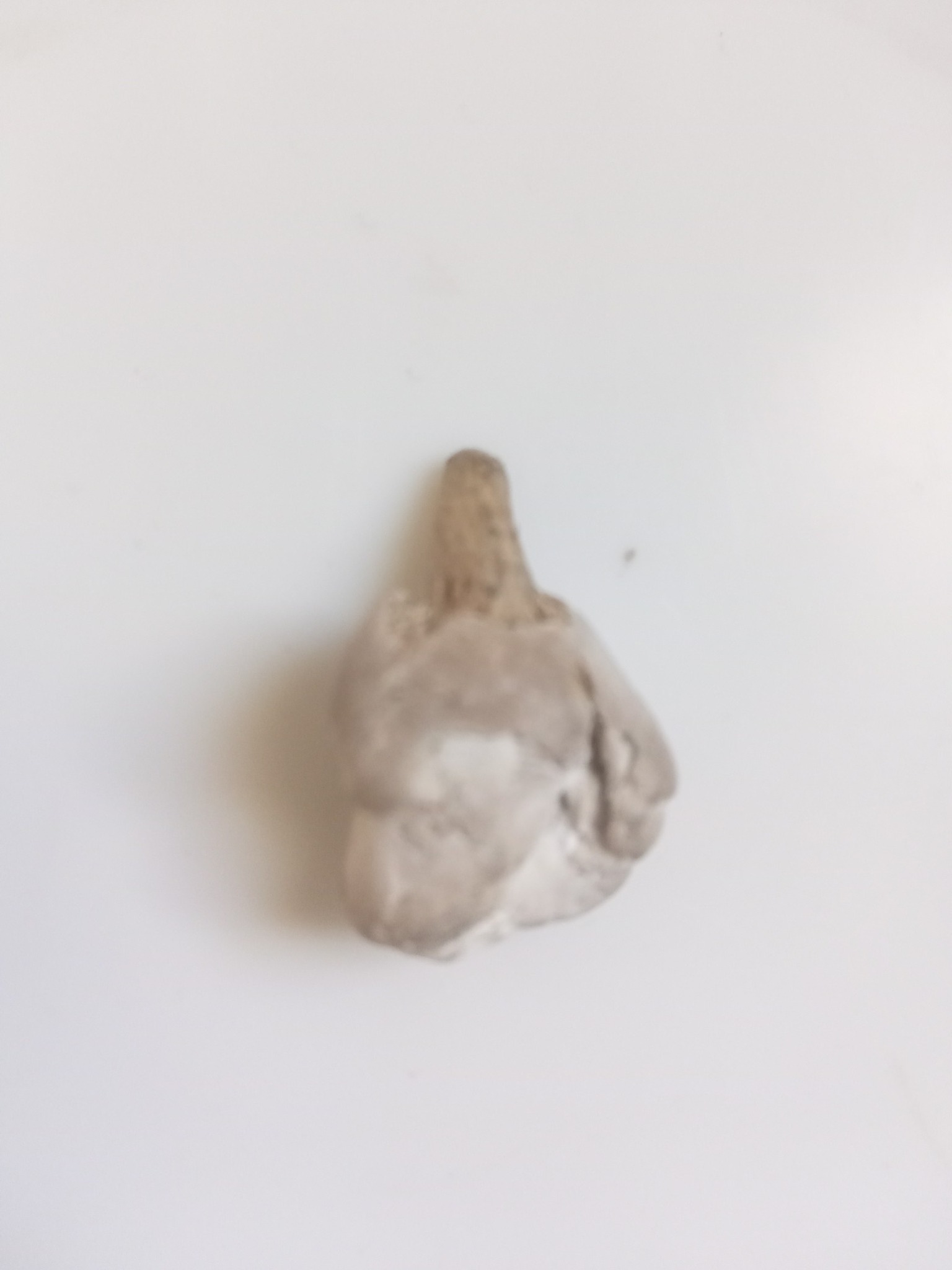Mobile uploads