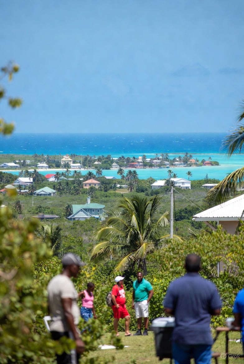 After you got your documents of who you are 

Once you get your three or more records proving your family connection to the land, here’s what you do next in the Bahamas:

1. Take y