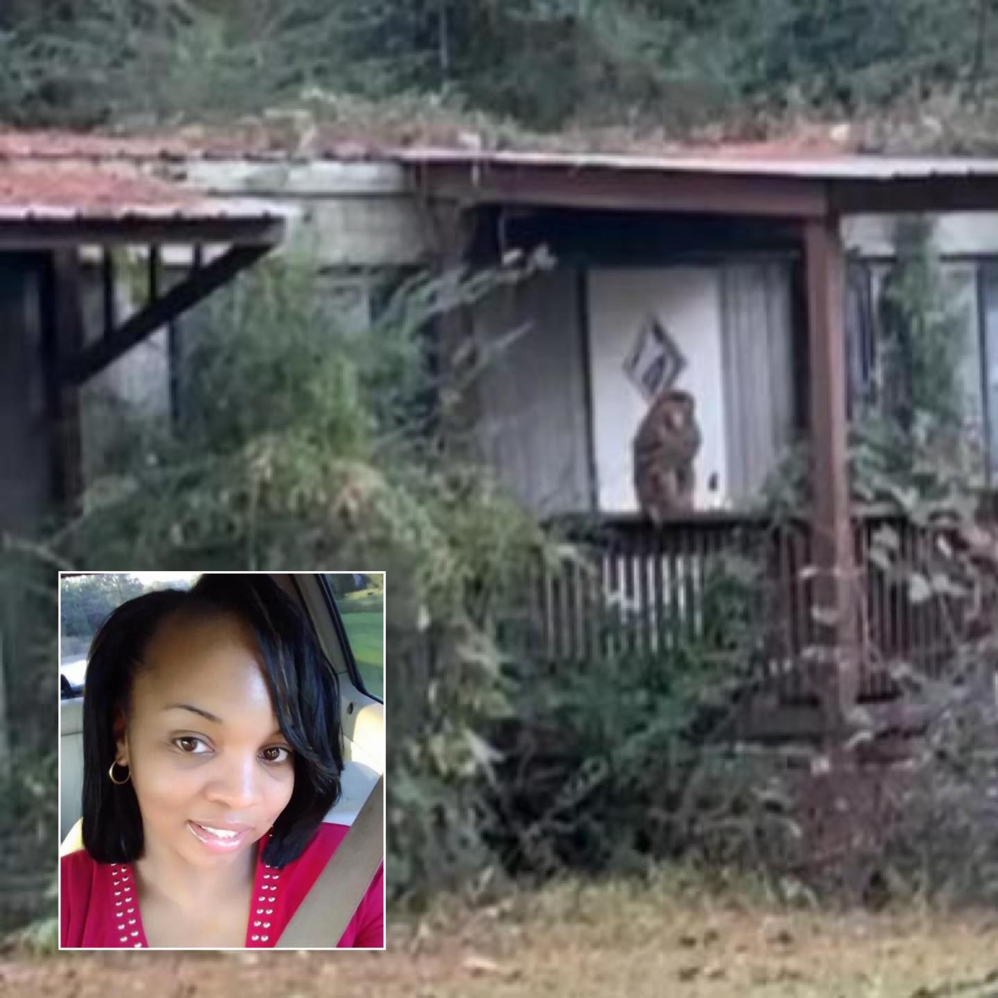 Mississippi Mother Shoots Escaped Monkey to Protect Her Children After Truck Crash

HEIDELBERG, MISSISSIPPI (November 3, 2025)

 A quiet Mississippi town was shaken this week after
