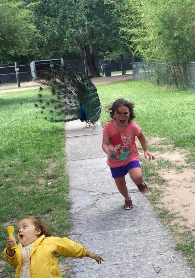 Which kid is taking this situation serious, and definitely might get away? 😂  😂🤣😂