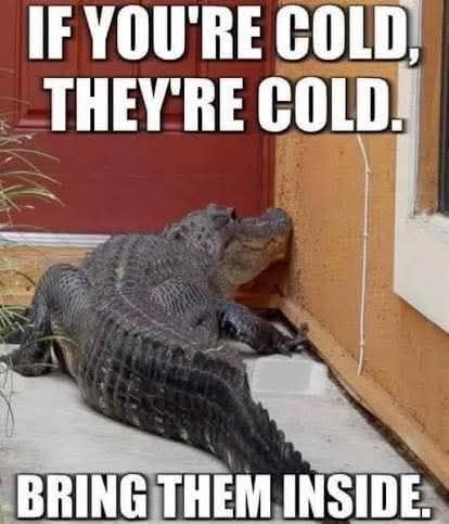 Florida Residents