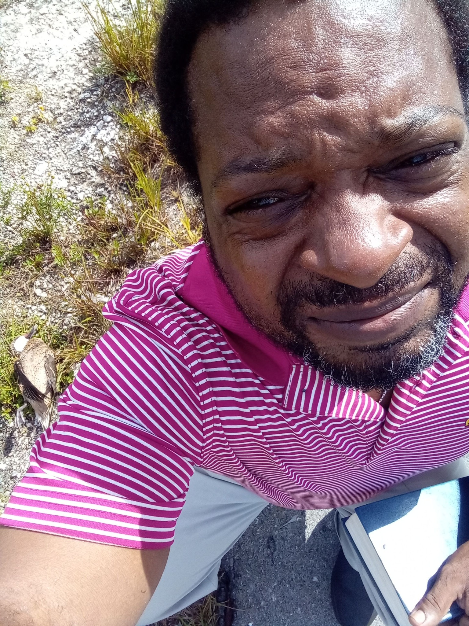 I am quite tired now, still saddened and uninspired

I hope my followers can forgive me for not having posted content worthy of your attention in recent times. Following the passin
