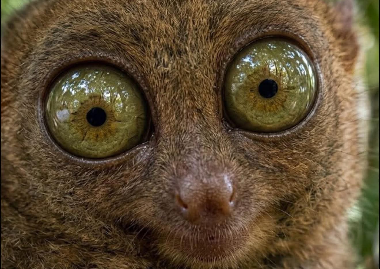 That look on an atheist face when I tell them Jesus loves you!
