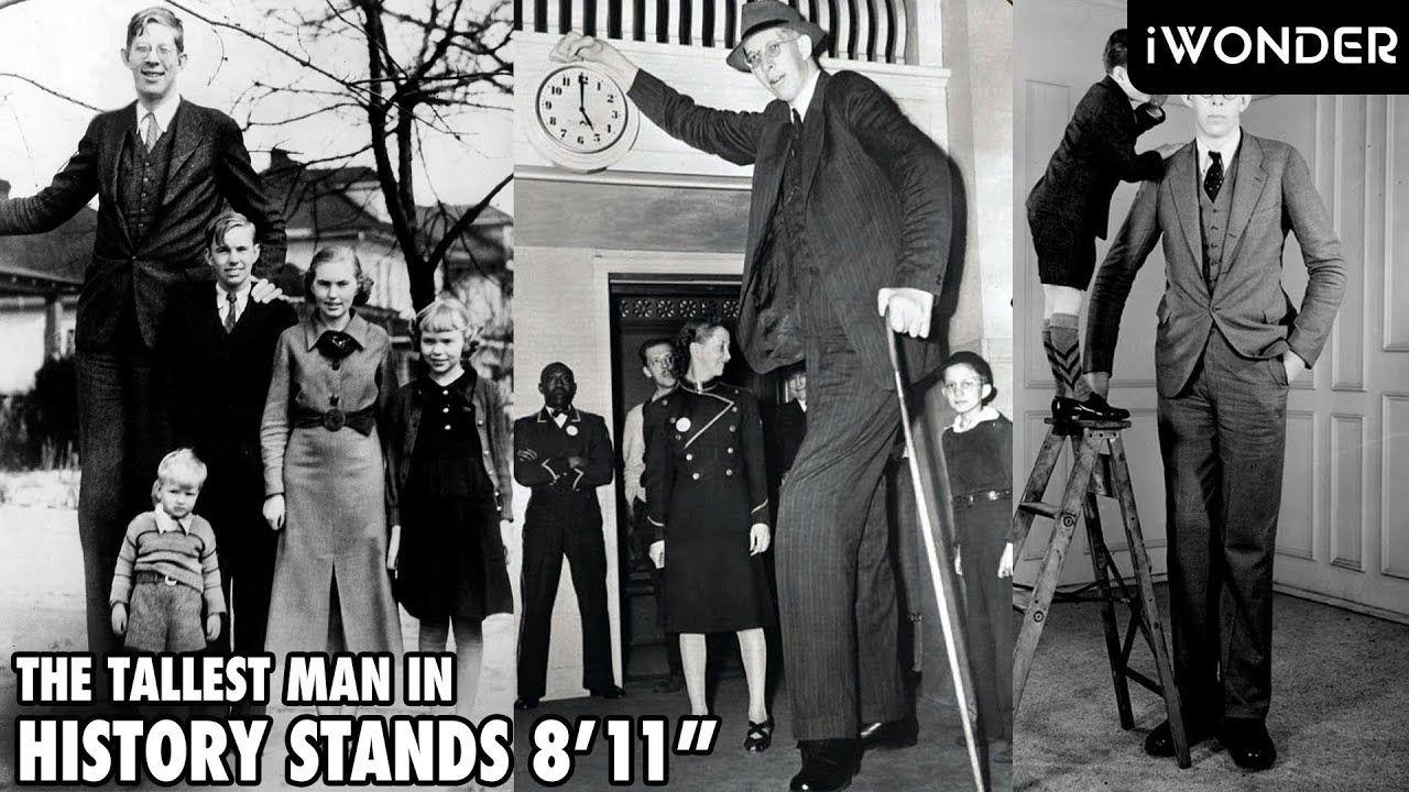 Giants Among Us
Modern Heights and the Enduring Truth of the Biblical Flood Narrative
By: Michael Elijah Muhammad Clare
In an era defined by empirical observation and scientifi